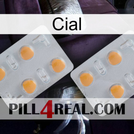 Cial 25